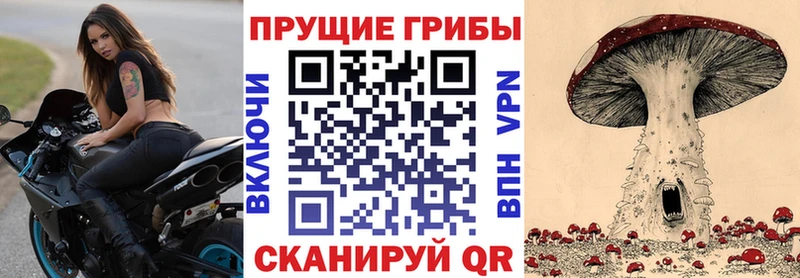 OMG вход  что такое наркотик  Губкин  Галлюциногенные грибы мухоморы 